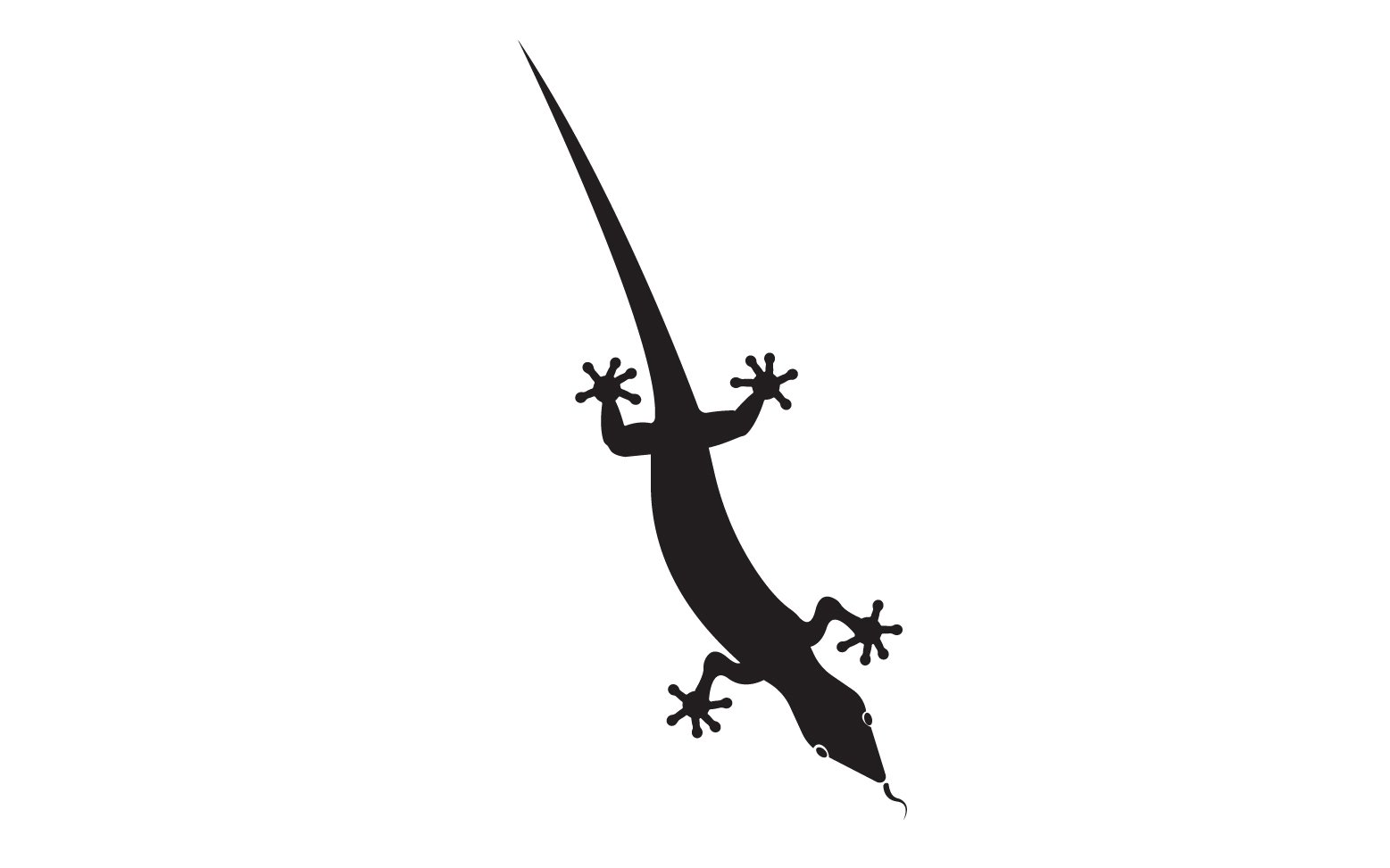 Lizard chameleon home lizard logo v45