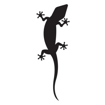 Animal Chameleon Logo Templates 392157