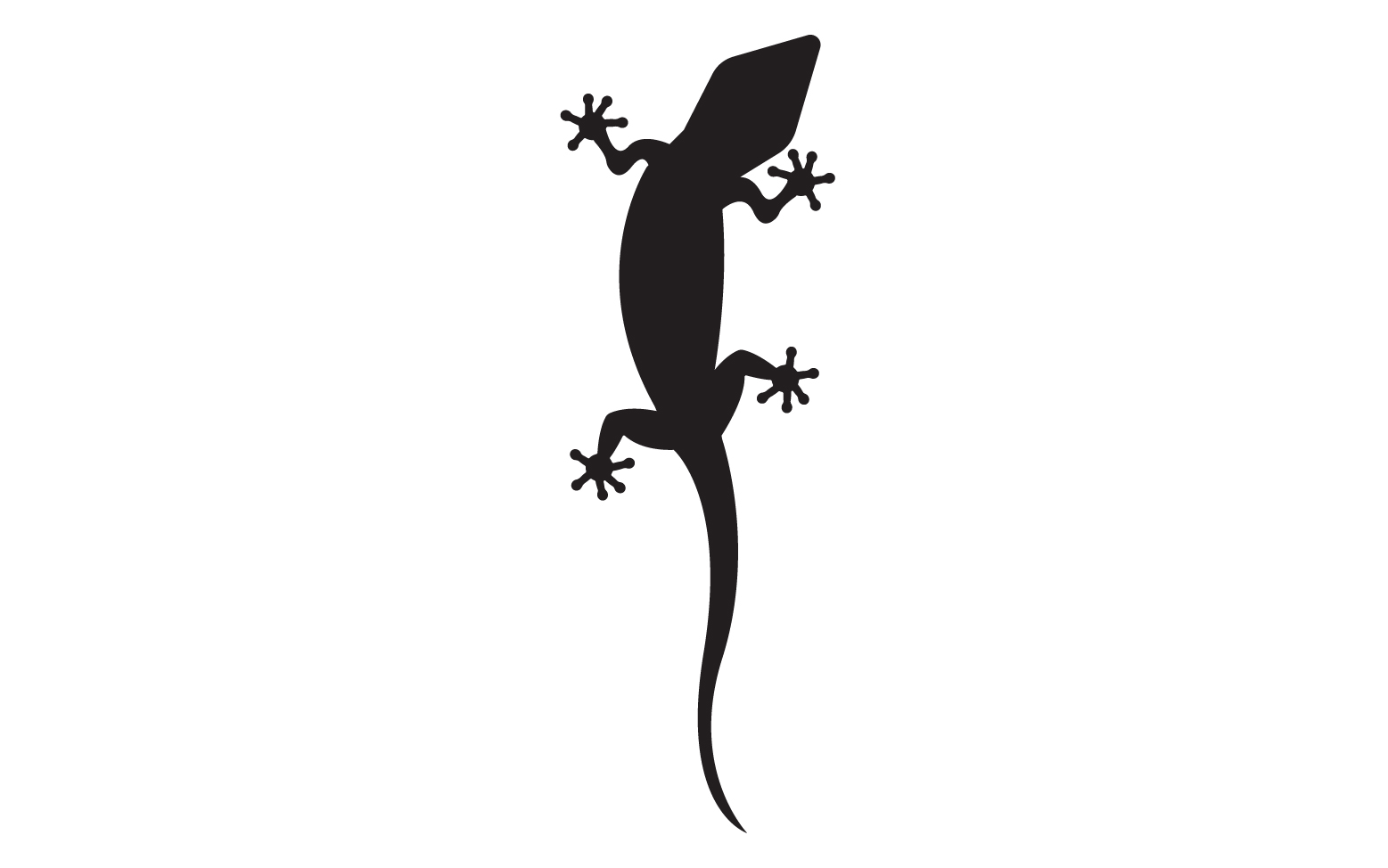 Lizard chameleon home lizard logo v51