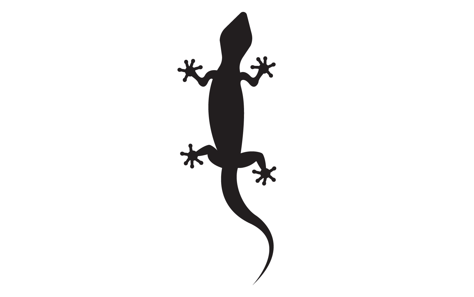 Lizard chameleon home lizard logo v52