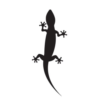 Animal Chameleon Logo Templates 392162