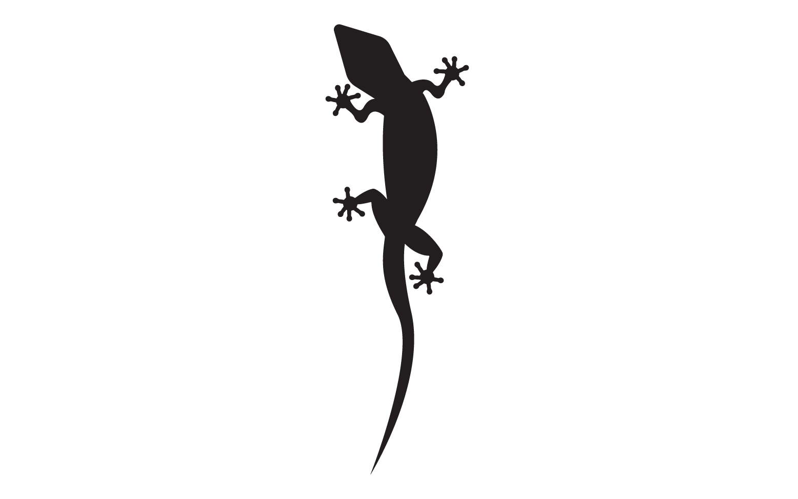 Lizard chameleon home lizard logo v62