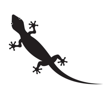 Animal Chameleon Logo Templates 392169