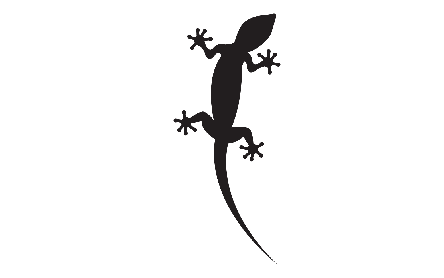 Lizard chameleon home lizard logo v64