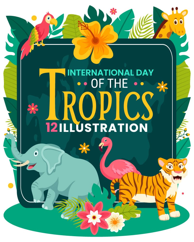 12 Day of the Tropics Illustration