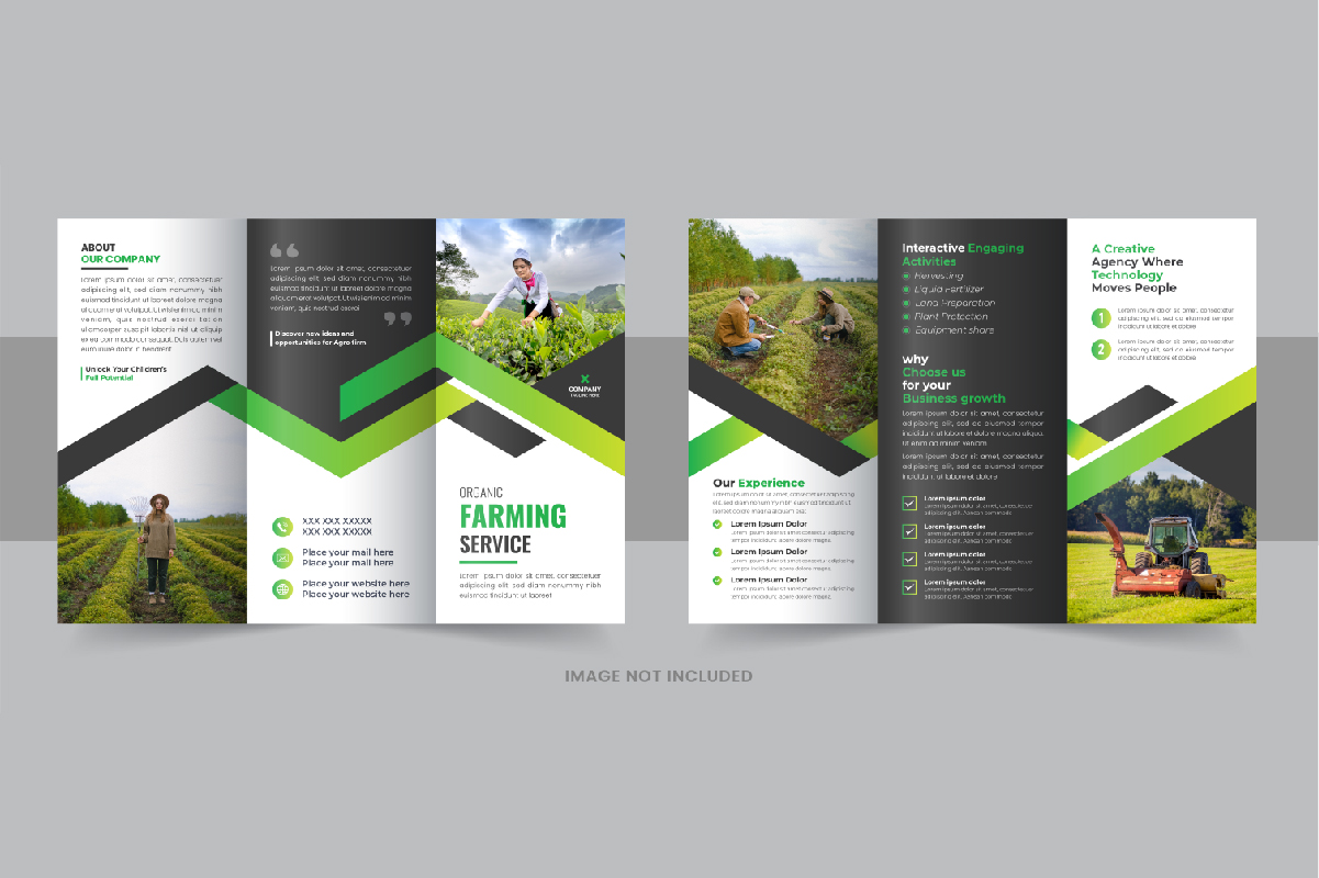Lawn care trifold brochure or Agro tri fold brochure