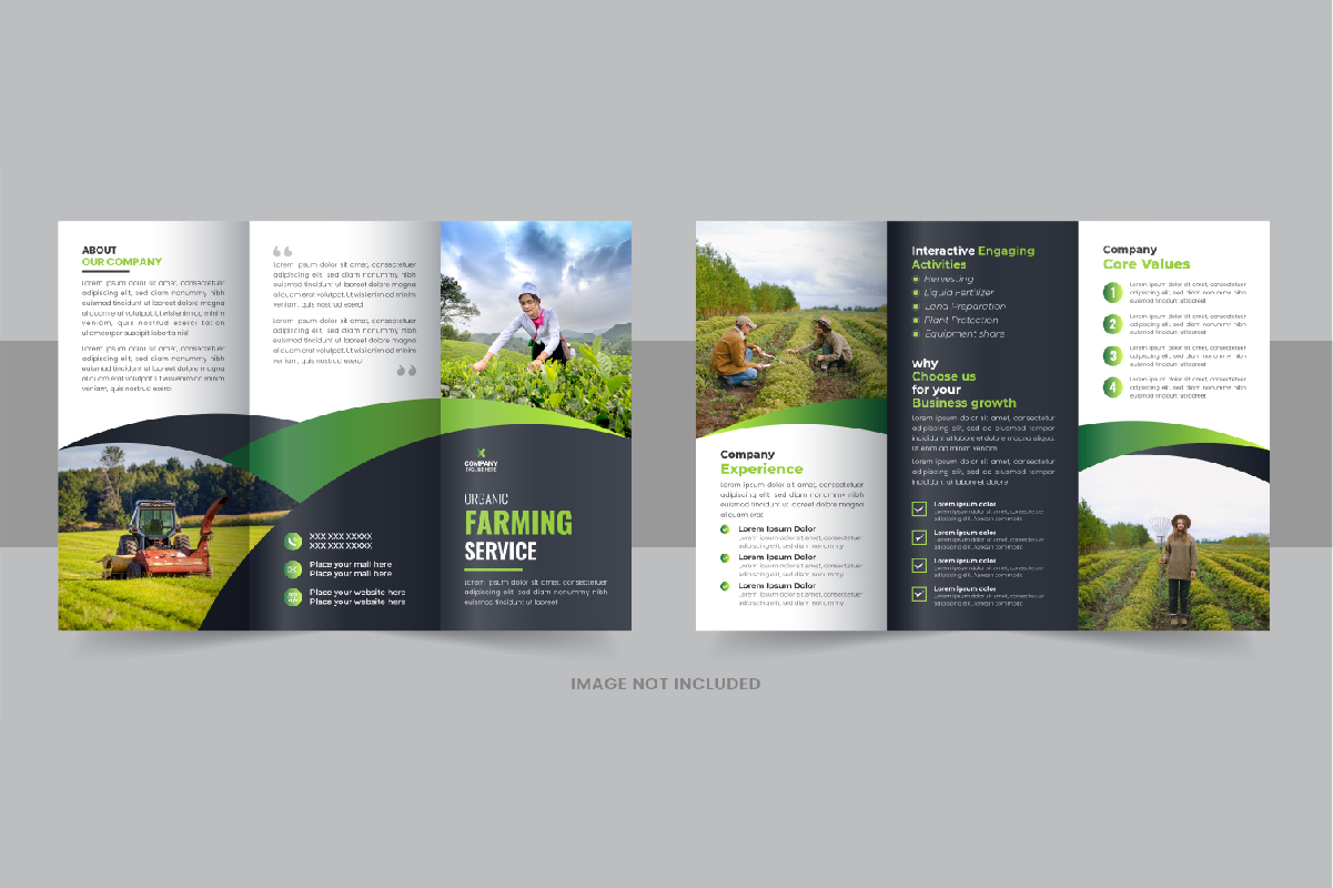 Lawn care trifold brochure or Agro tri fold brochure design template