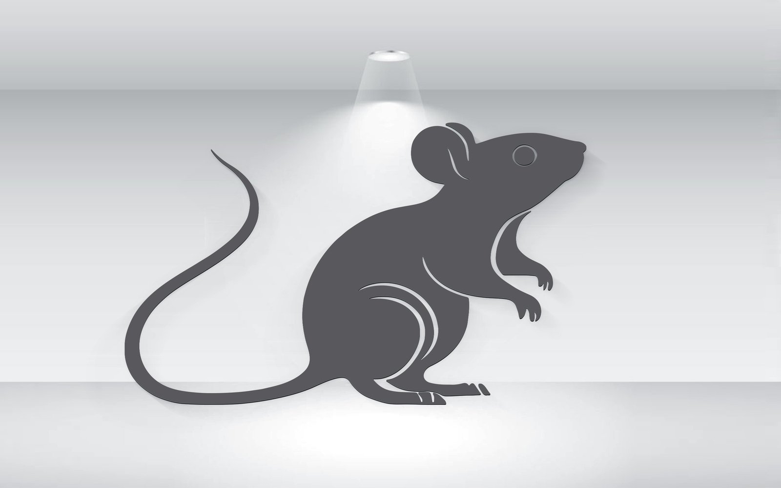 Mouse Illustration Silhouette Vector Format