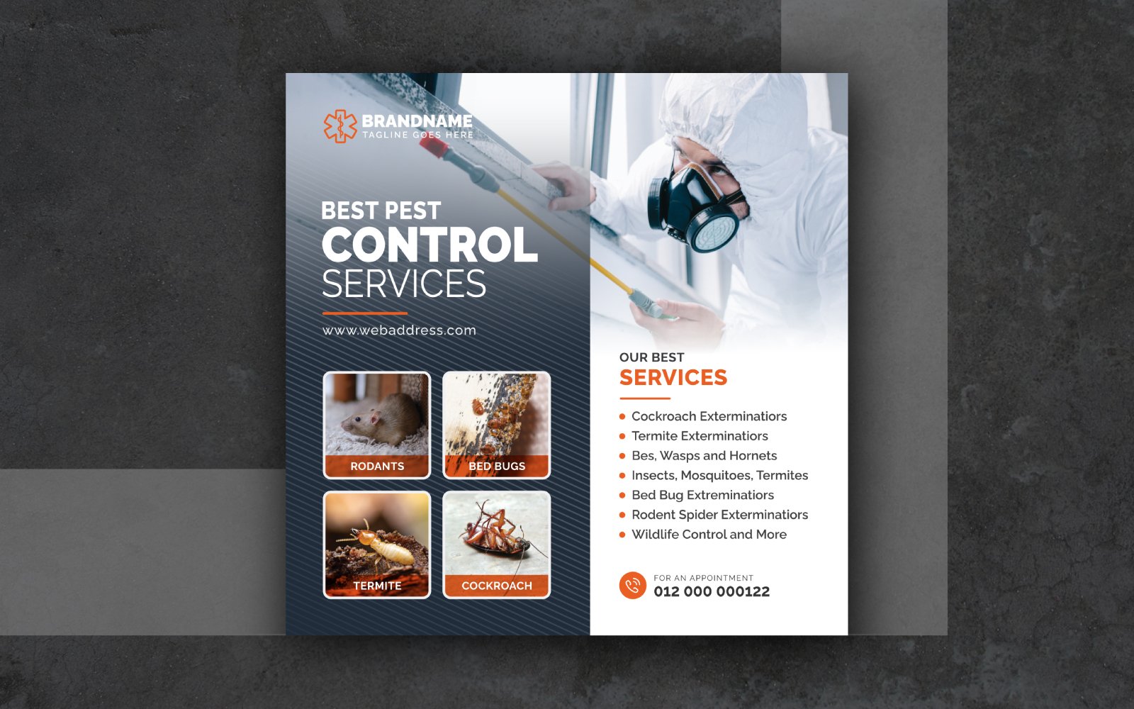 Pest Control Service Social Media Post Banner or Poster Design, Pest Prevention Square Flyer