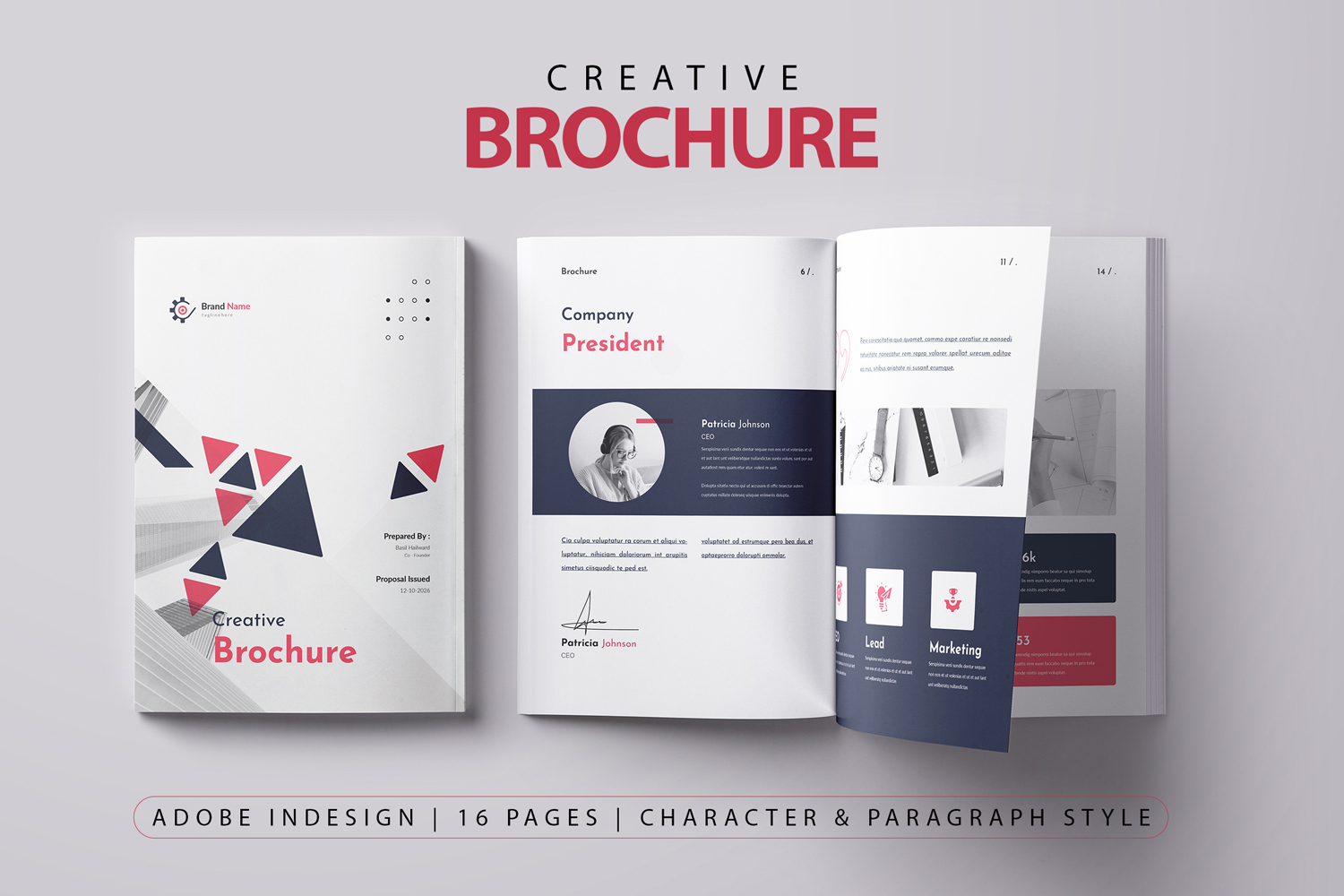 Creative Brochure Template with Triangle Shapes