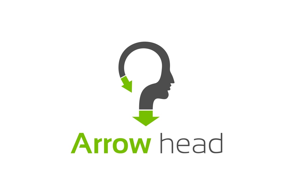 Arrow head logo for the website and application