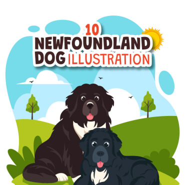 Dog Newfoundland Illustrations Templates 402441