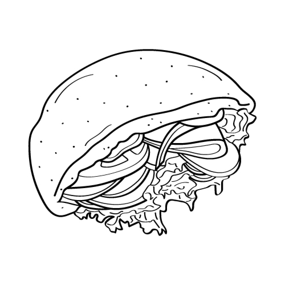 Hand drawn pita black outline, isolated on the white background