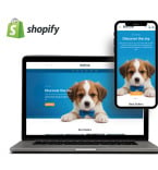 Shopify Themes 403611