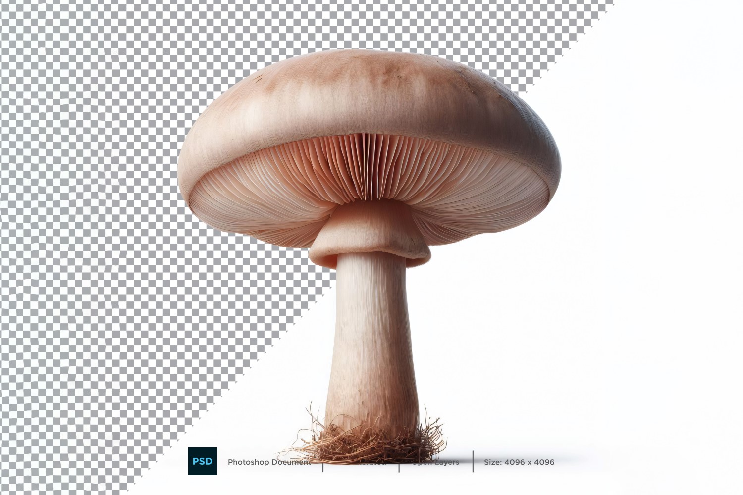 Mushroom Fresh Vegetable Transparent background 10