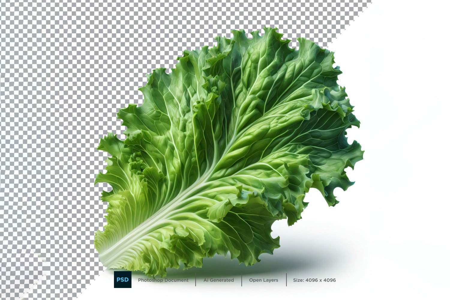 Lettuce Fresh Vegetable Transparent background 01