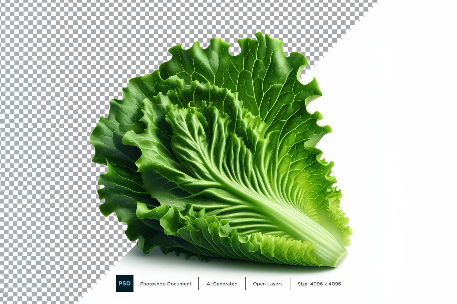 Lettuce Fresh Vegetable Transparent background 02