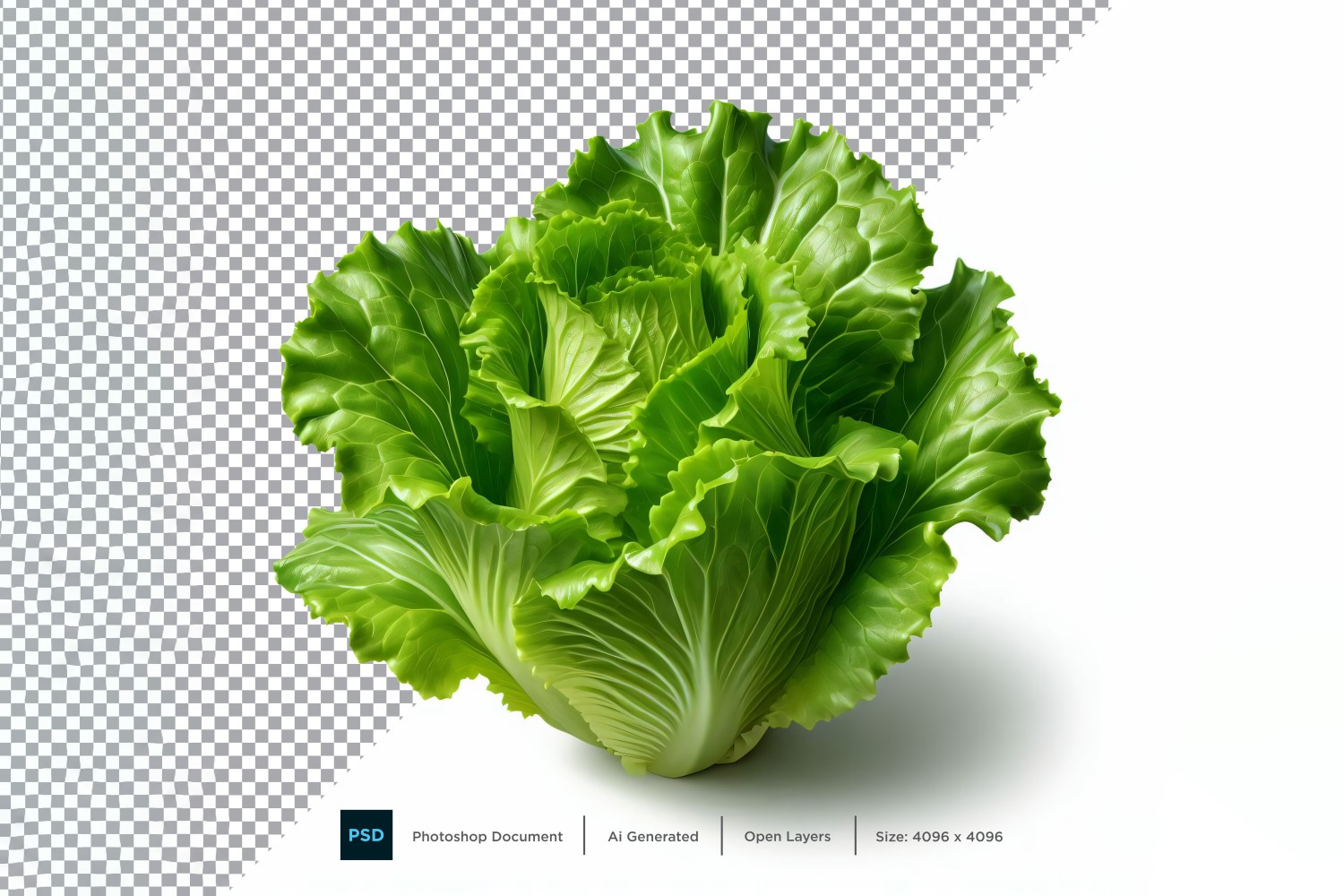 Lettuce Fresh Vegetable Transparent background 08