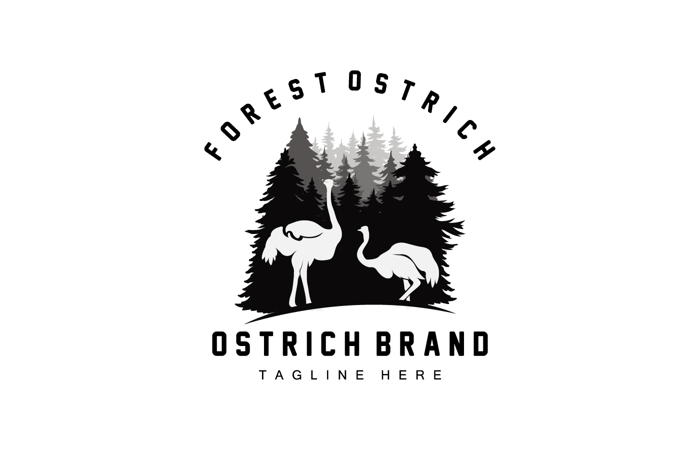 Ostrich Logo Design Desert Animal Illustration V10