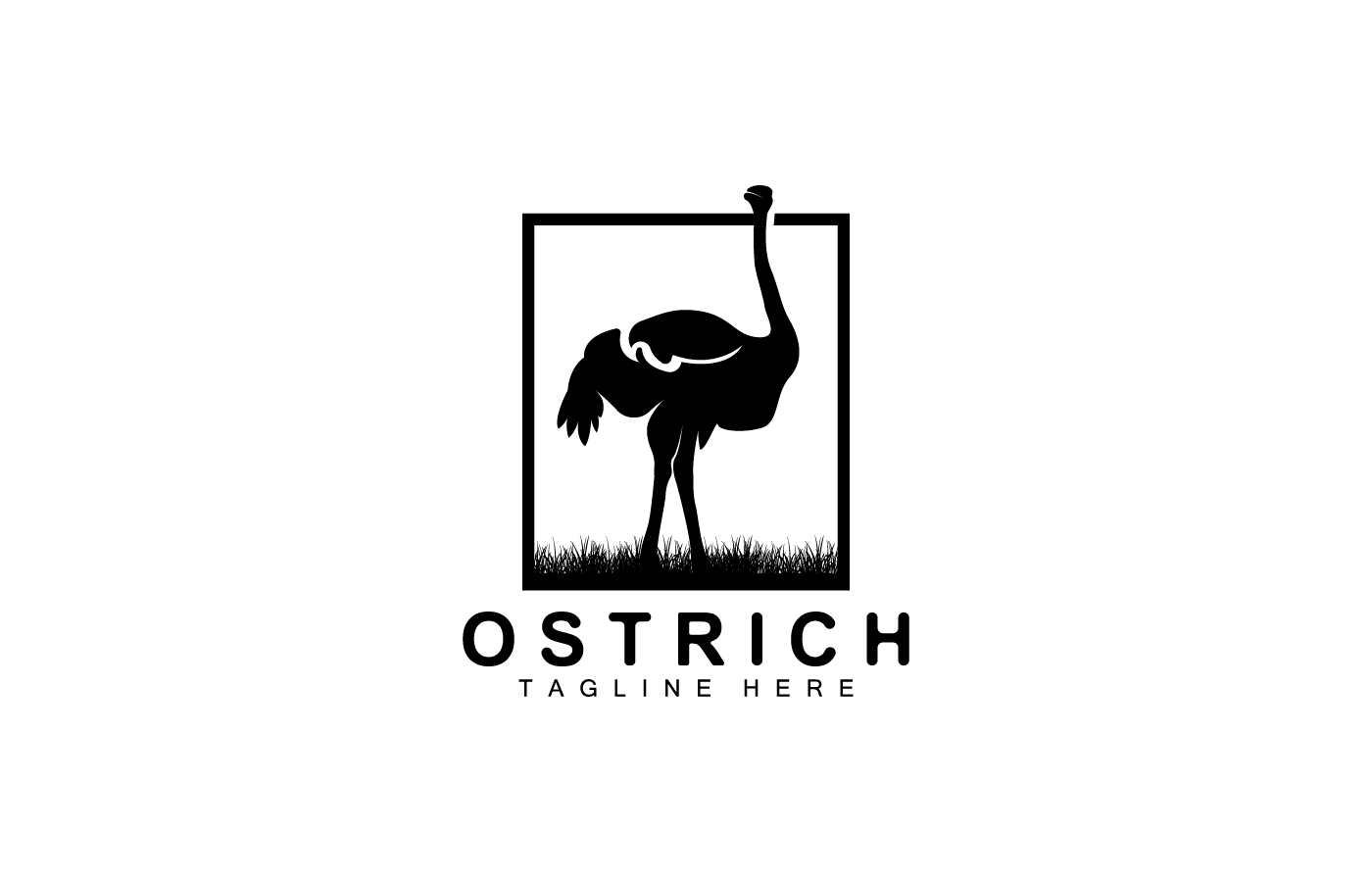Ostrich Logo Design Desert Animal Illustration V17