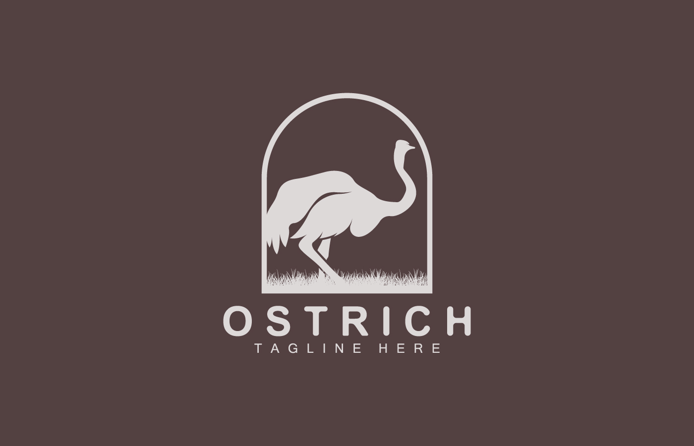 Ostrich Logo Design Desert Animal Illustration V18
