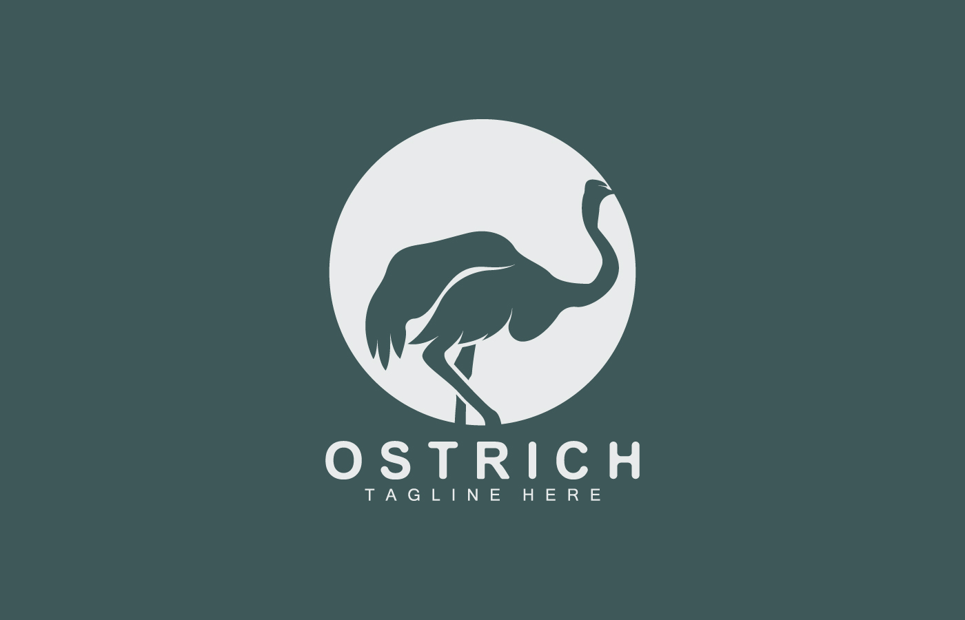 Ostrich Logo Design Desert Animal Illustration V22