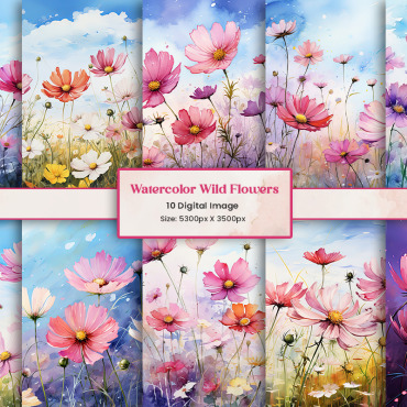 Wildflowers Botanical Backgrounds 404954