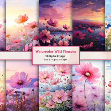 Wildflowers Botanical Backgrounds 404957