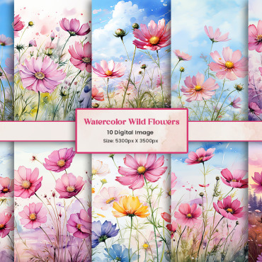 Wildflowers Botanical Backgrounds 404958