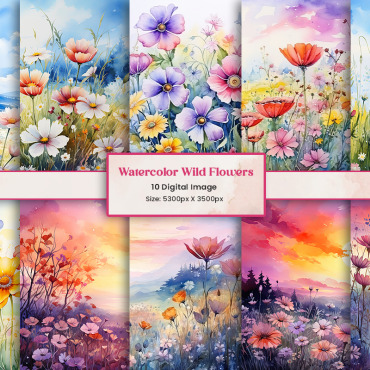 Wildflowers Botanical Backgrounds 404961