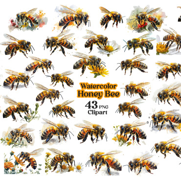 Watercolor Honey Illustrations Templates 405248