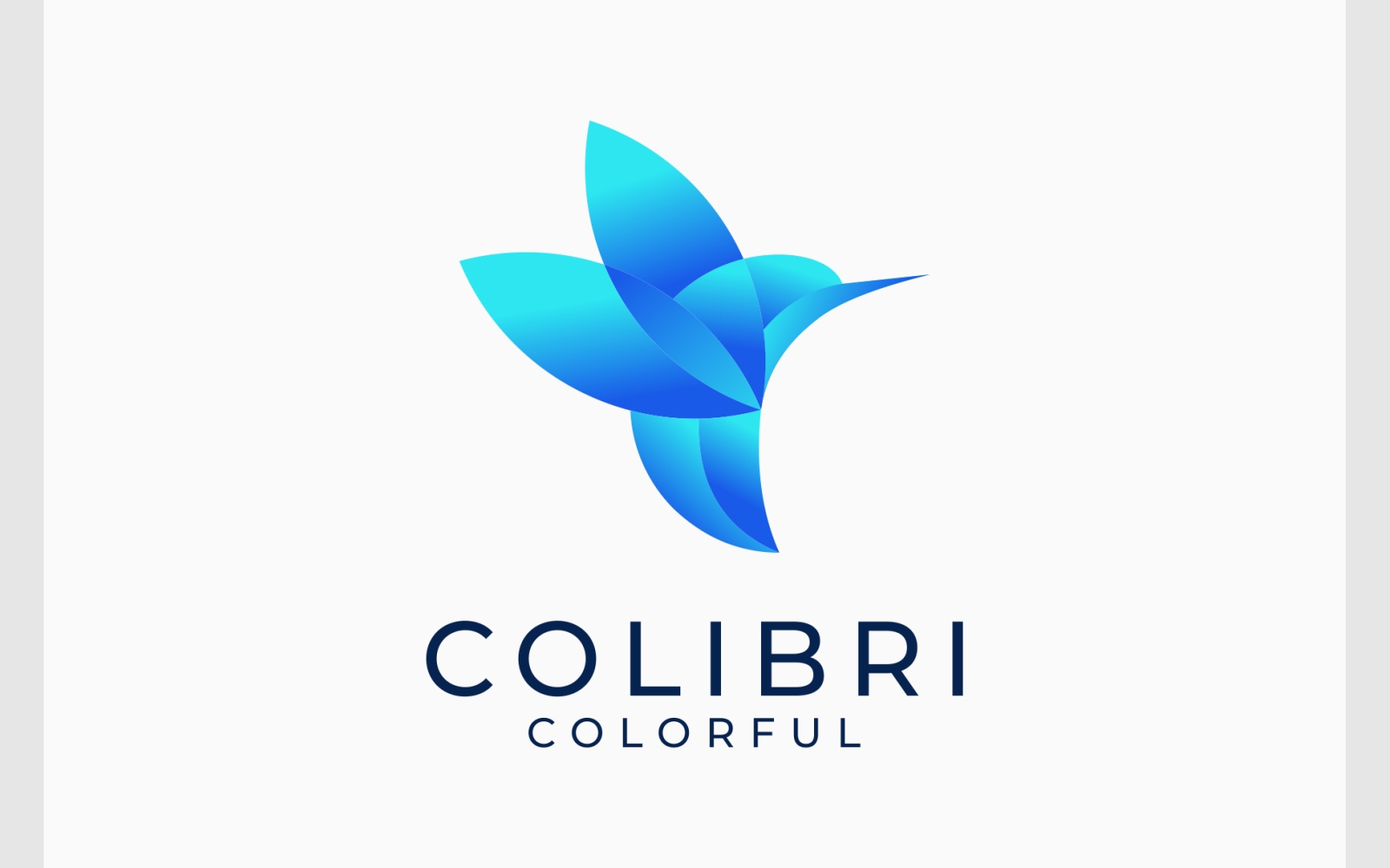 Colibri Hummingbird Colorful Logo