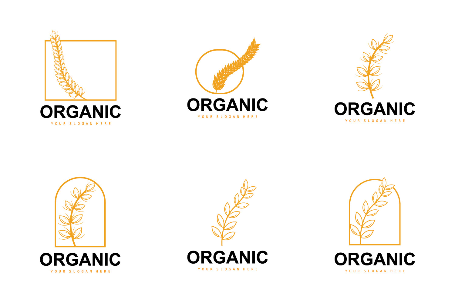 Wheat Rice Logo Agricultural Organic Plant VectorV5