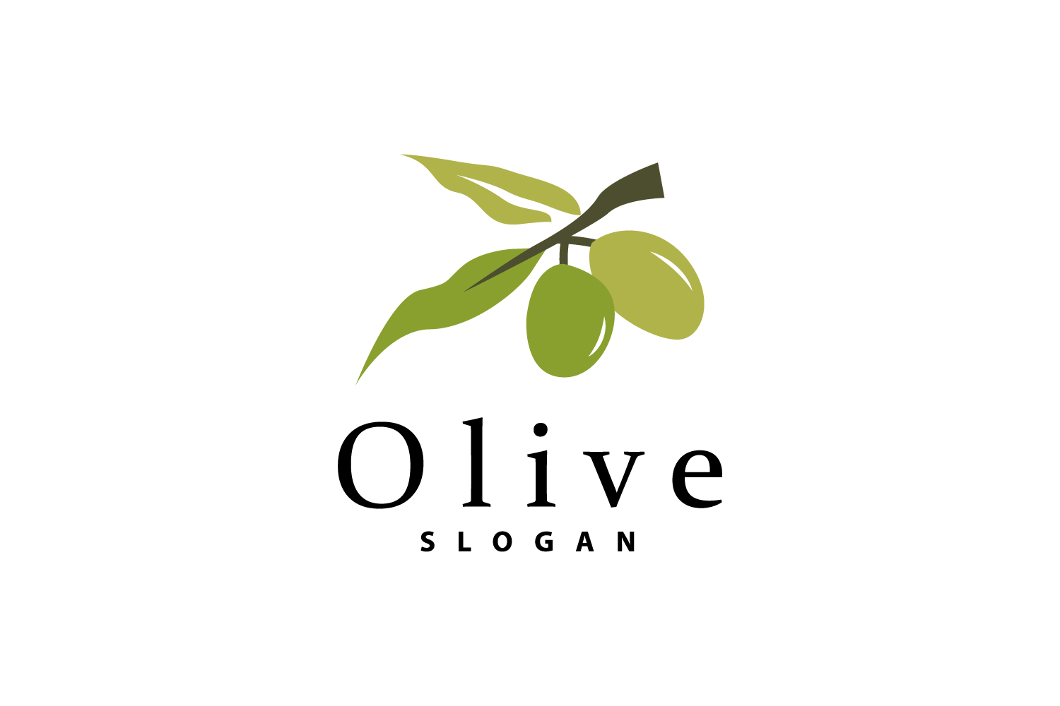 Olive Oil Logo Olive Leaf PlantV3