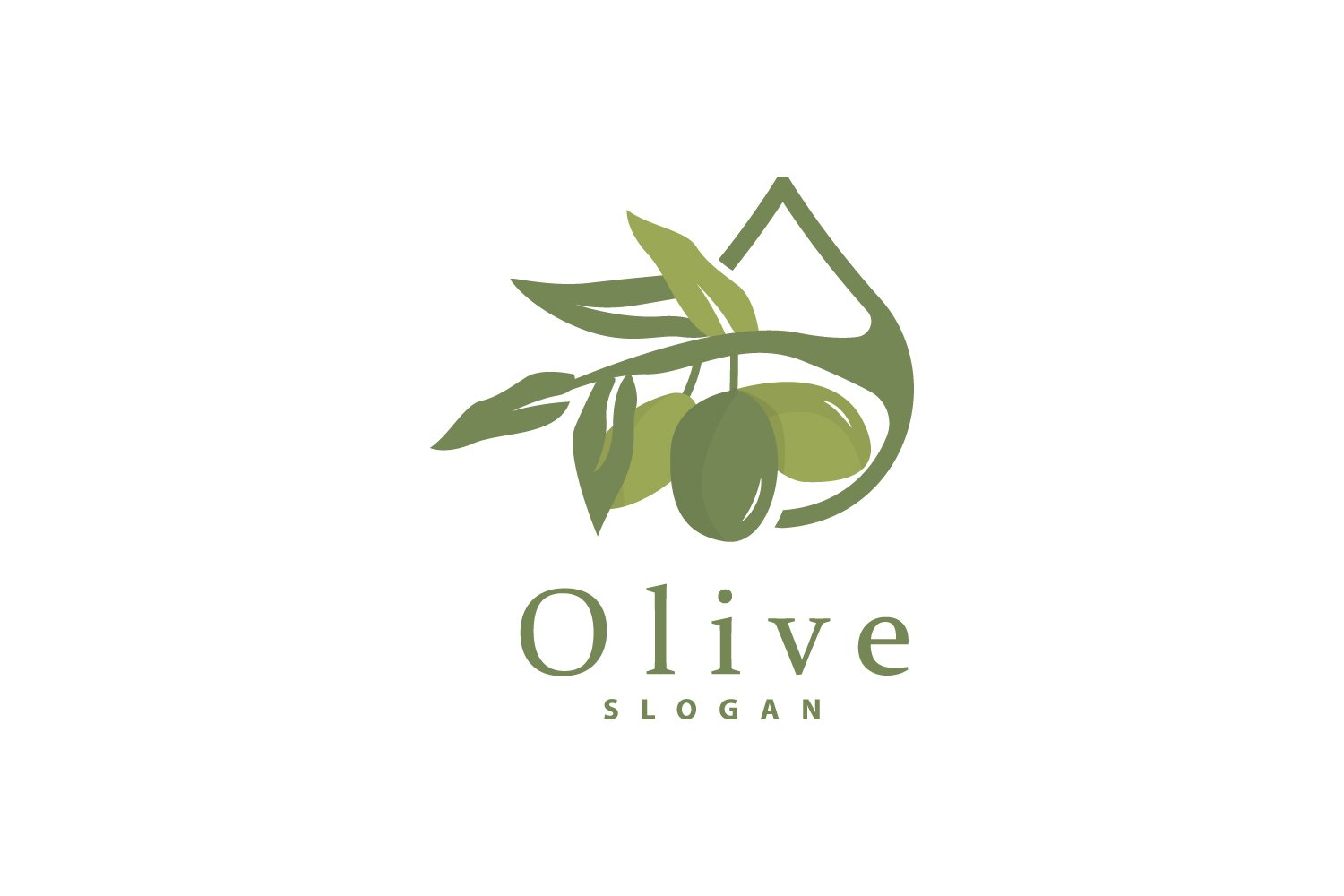 Olive Oil Logo Olive Leaf PlantV24
