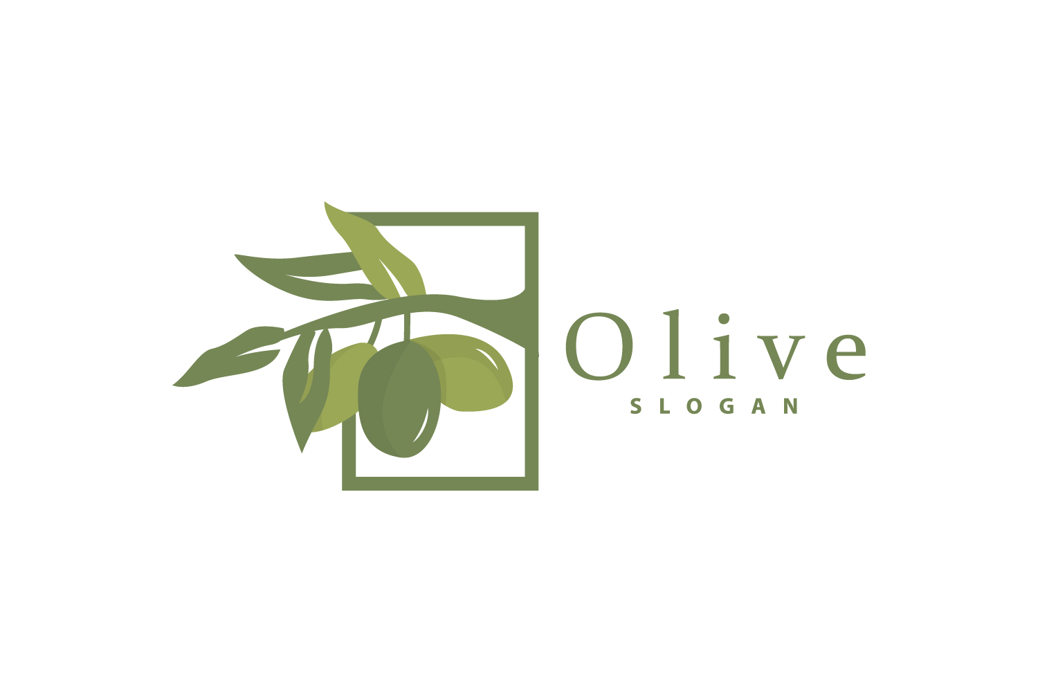 Olive Oil Logo Olive Leaf PlantV33