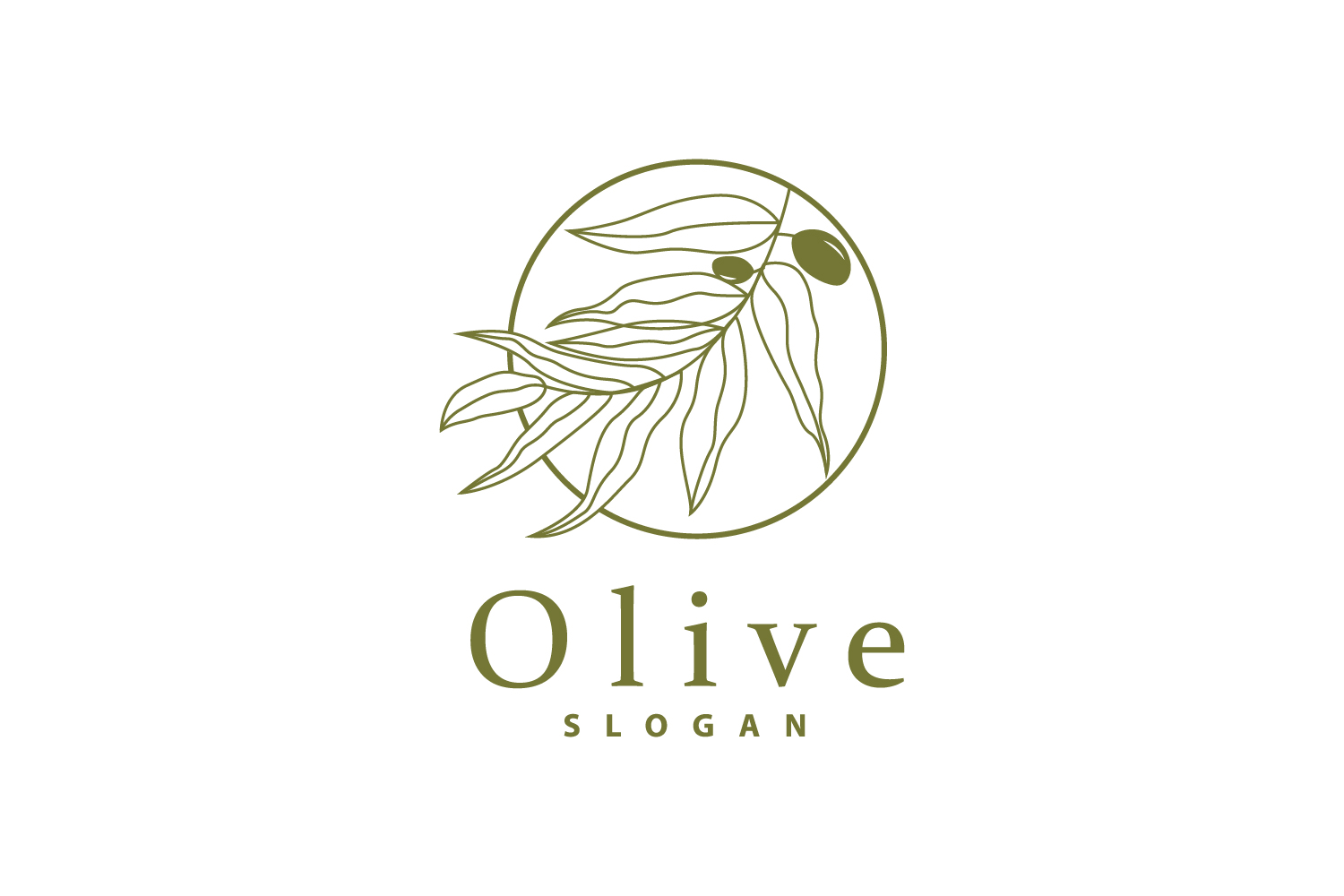 Olive Oil Logo Olive Leaf PlantV37