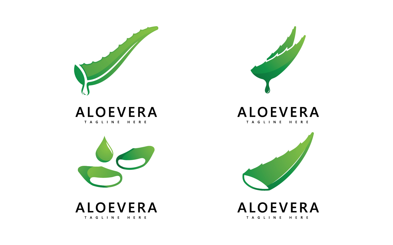 Aloe vera plant logo drop vector design. Aloe vera gel logo icon V5