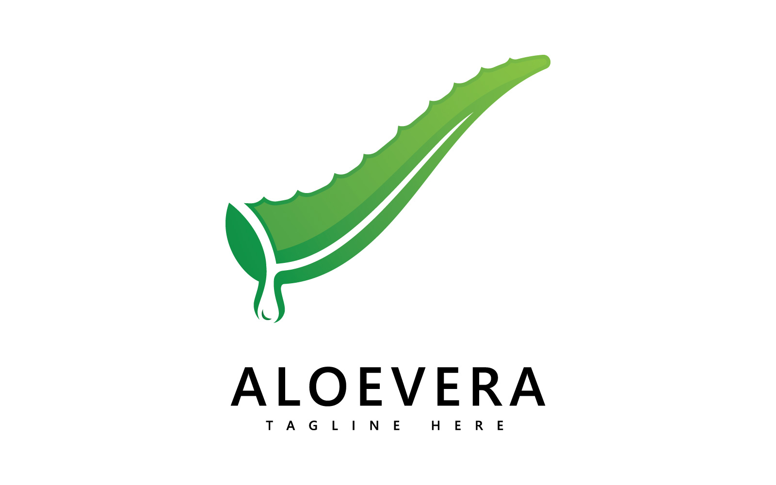 Aloe vera plant logo drop vector design. Aloe vera gel logo icon V1