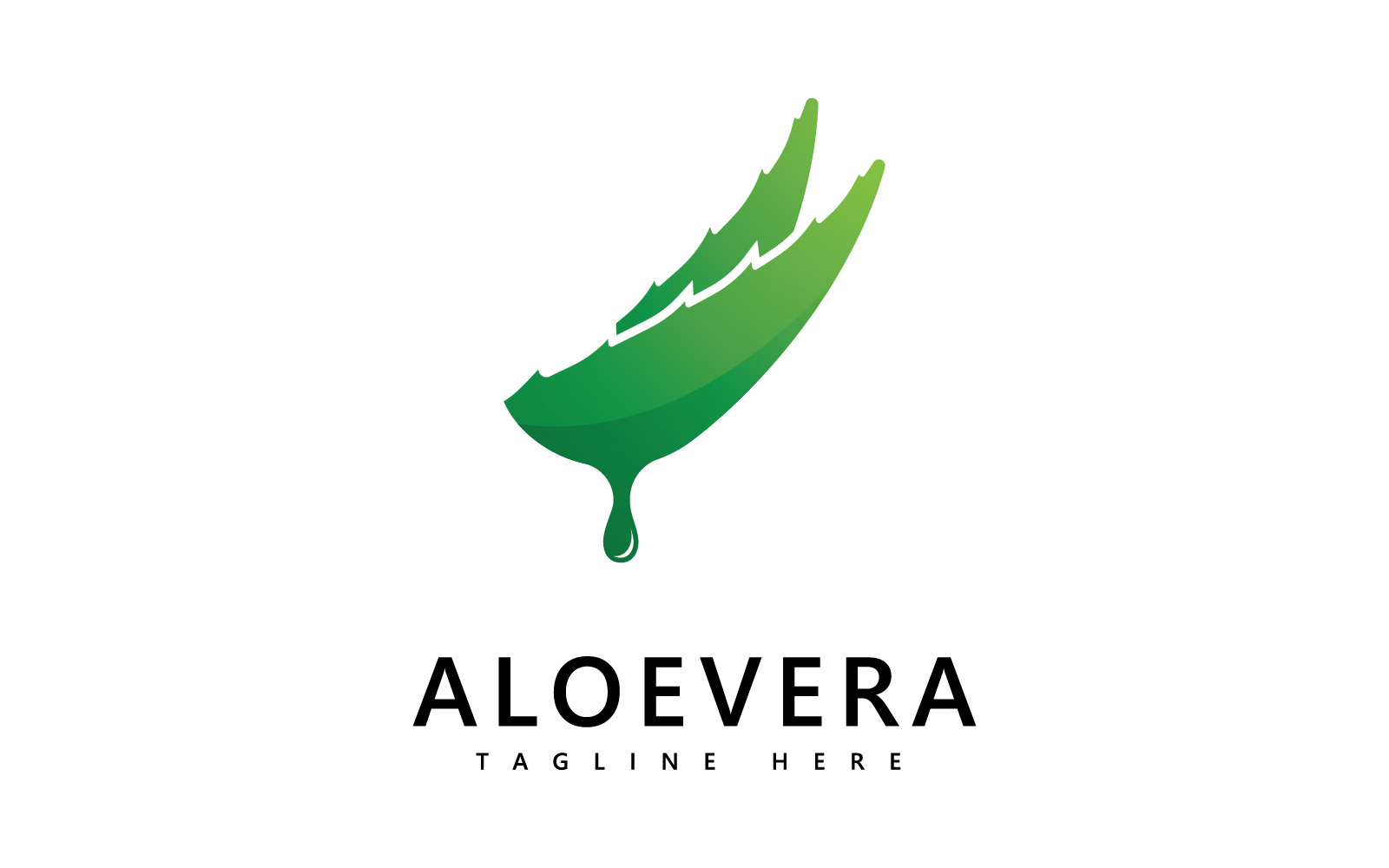 Aloe vera plant logo drop vector design. Aloe vera gel logo icon V3