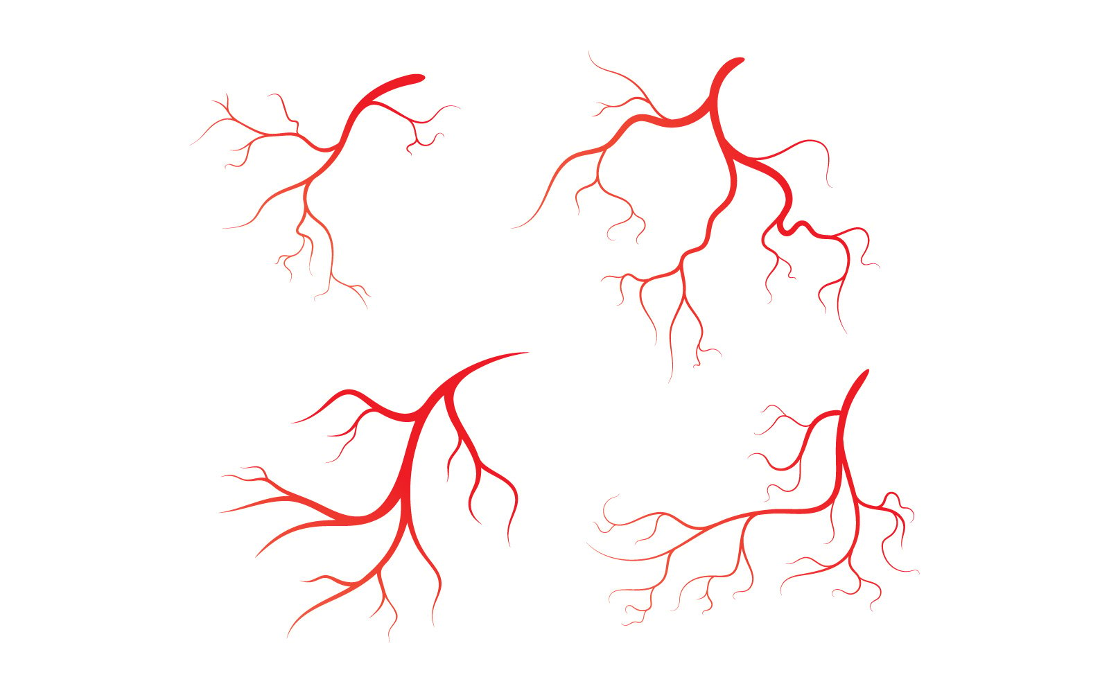 Human vein vector symbol icon design illustration  V1