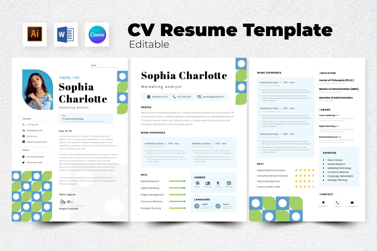 Resume / CV Marketing Analyst V2