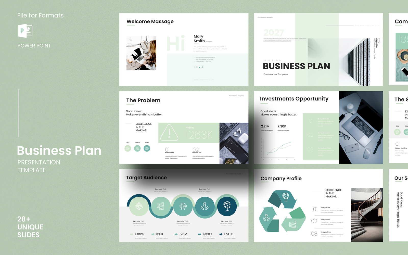 Business Plan Presentation Template_