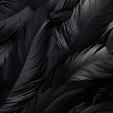 Feathers Pattern Backgrounds 414938