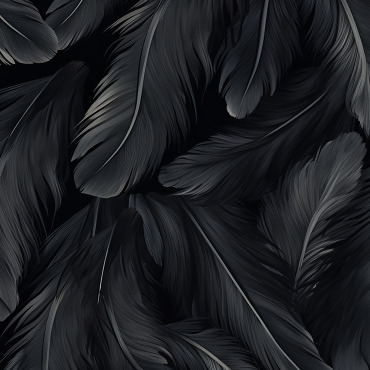 Feathers Illustration Backgrounds 414944