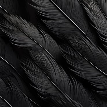 Premium Feathers Backgrounds 414947