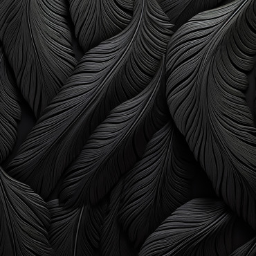Black Feathers Backgrounds 414951