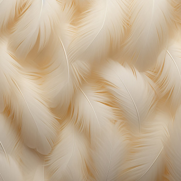 Feathers Pattern Backgrounds 415158