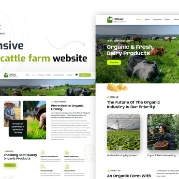 Agriculture Beef Responsive Website Templates 415578