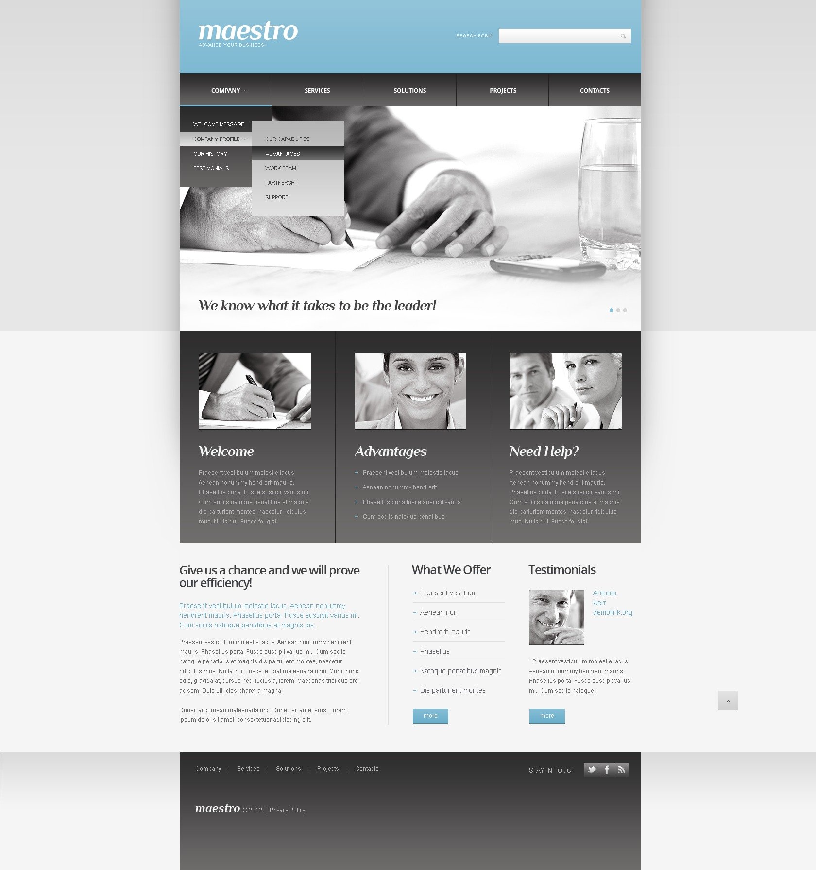 Consulting Responsive Website Template